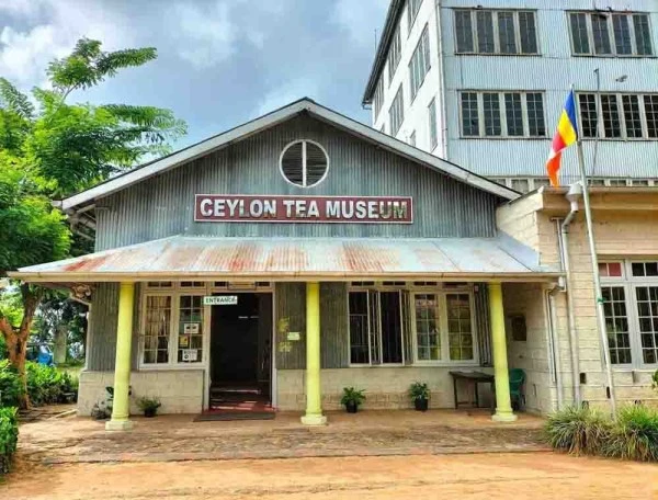 Ceylon Tea Museum
